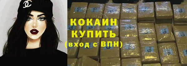 крисы Армянск