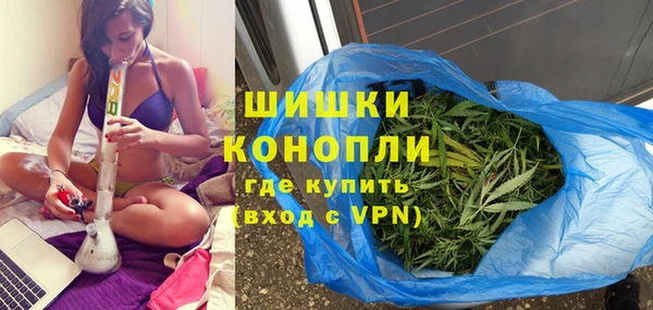 крисы Армянск