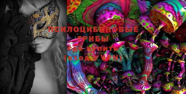 бошки Аркадак