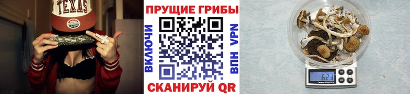 продажа наркотиков  Сычёвка  Галлюциногенные грибы мухоморы 
